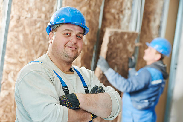 Best Insulation Maintenance and Repair in Delhi, CA